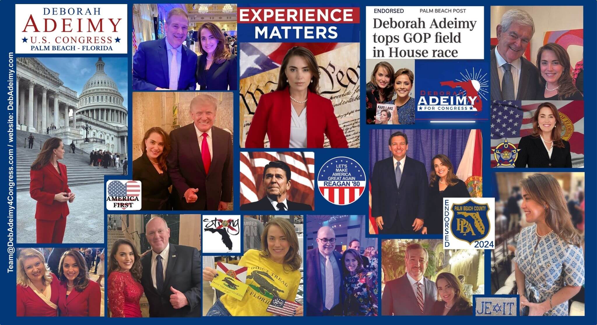 Deb Adeimy political collage